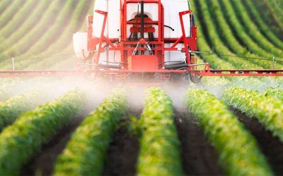 Grupo Fertiberia anuncia su nueva línea Impact Zero, el primer fertilizante del mundo producido con hidrógeno verde
