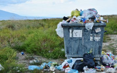 Un proyecto para producir hidrógeno verde a partir de residuos orgánicos