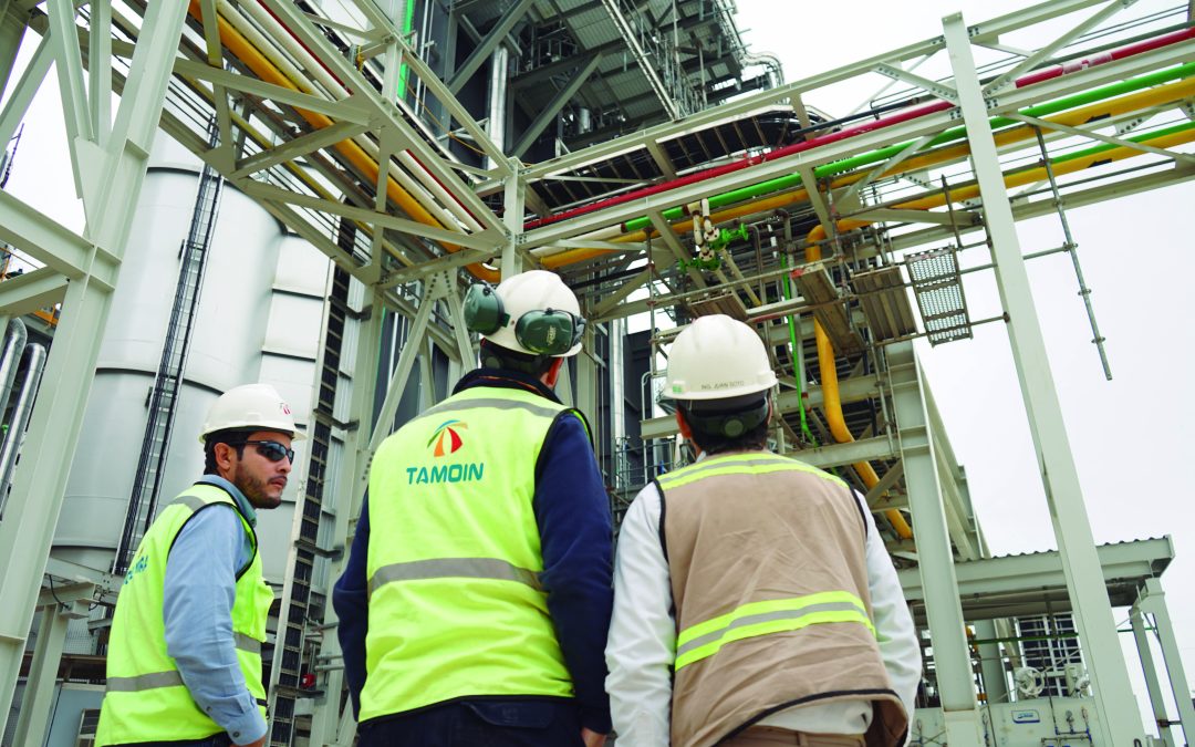La nueva planta demostrativa de hidrógeno verde de Tamoin en Vizcaya