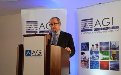 La Asociación de Grandes Industrias del Campo de Gibraltar insta al Gobierno para que no excluya a Cádiz del corredor de hidrógeno