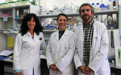 Un equipo de la Universidad de Córdoba aumenta la producción de hidrógeno verde y biomasa con algas y bacterias