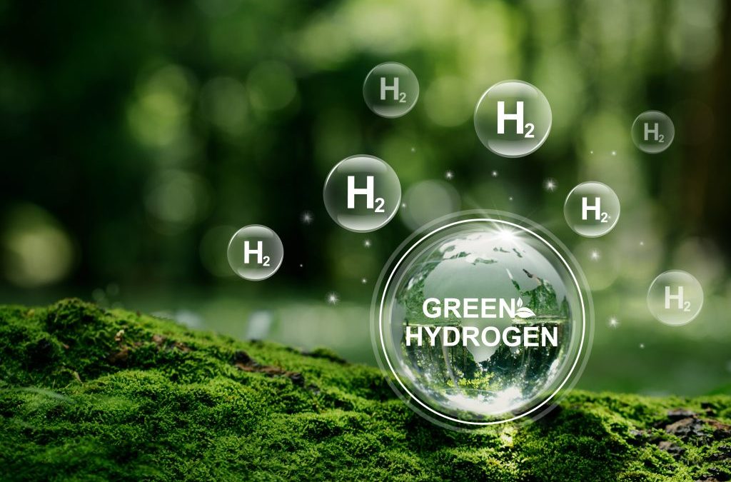 Ignis P2X, la nueva plataforma para desarrollar proyectos de hidrógeno y amoníaco verde