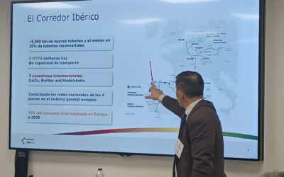 El sector gallego del hidrógeno manifiesta su interés por el H2Med