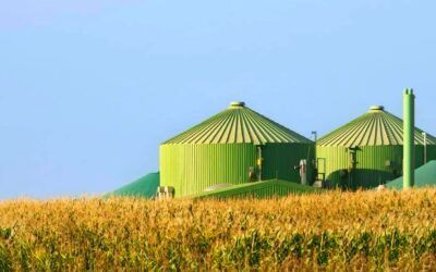 El Corredor Vasco del Hidrógeno: el futuro energético renovable cobra fuerza en Euskadi